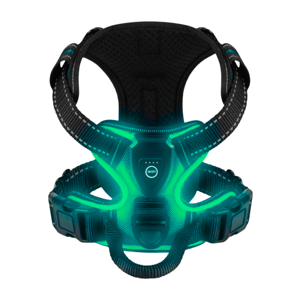Blink LED Light Dog Harness -Grass - Ozerty