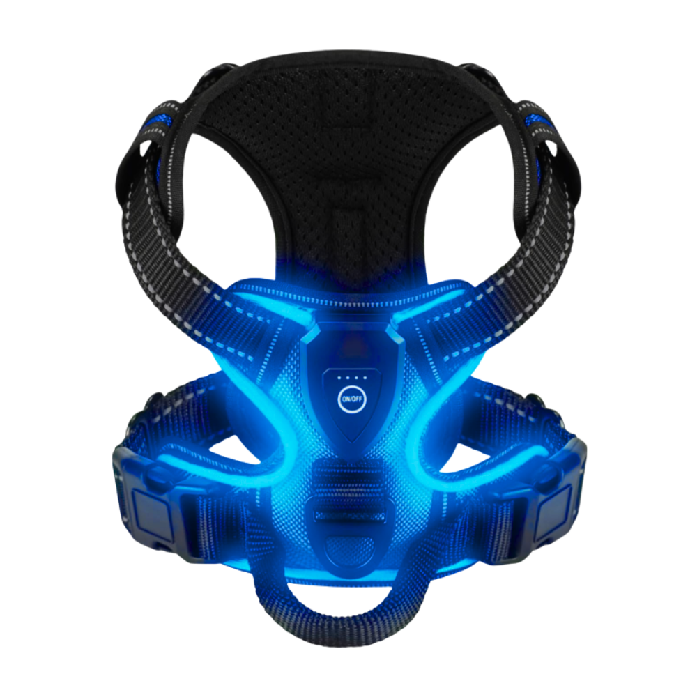 Blink LED Light Dog Harness