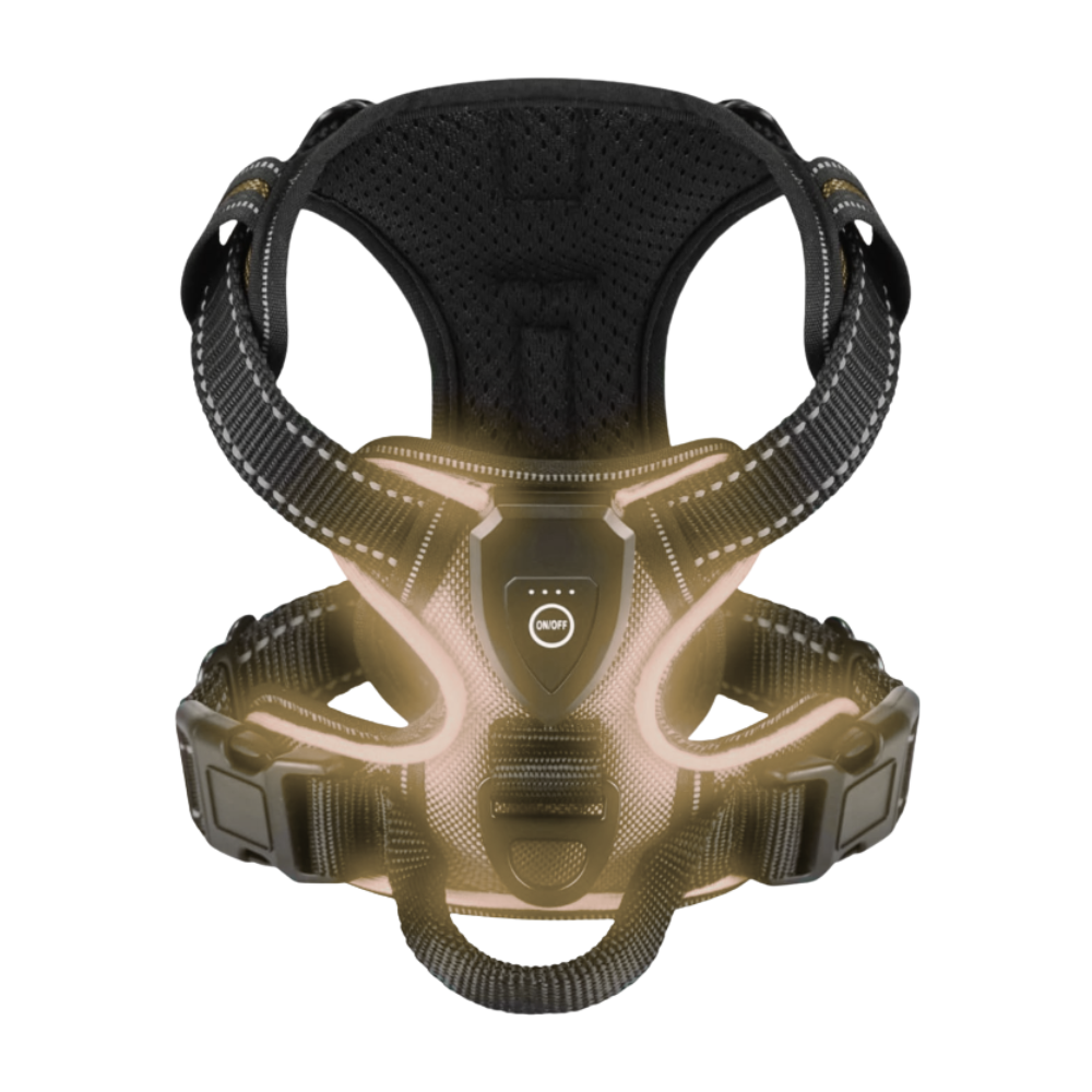 Blink LED Light Dog Harness -Slate ash - Ozerty