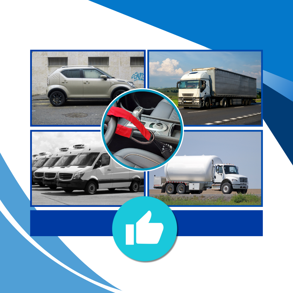 Dual Security Steering Wheel Lock - Ozerty