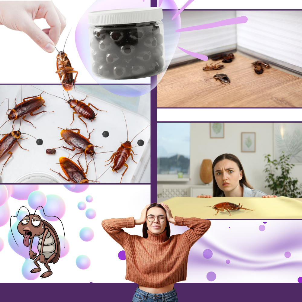 Lavender Extract Roach Beads - Ozerty