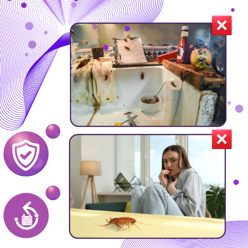 Lavender Extract Roach Beads - Ozerty