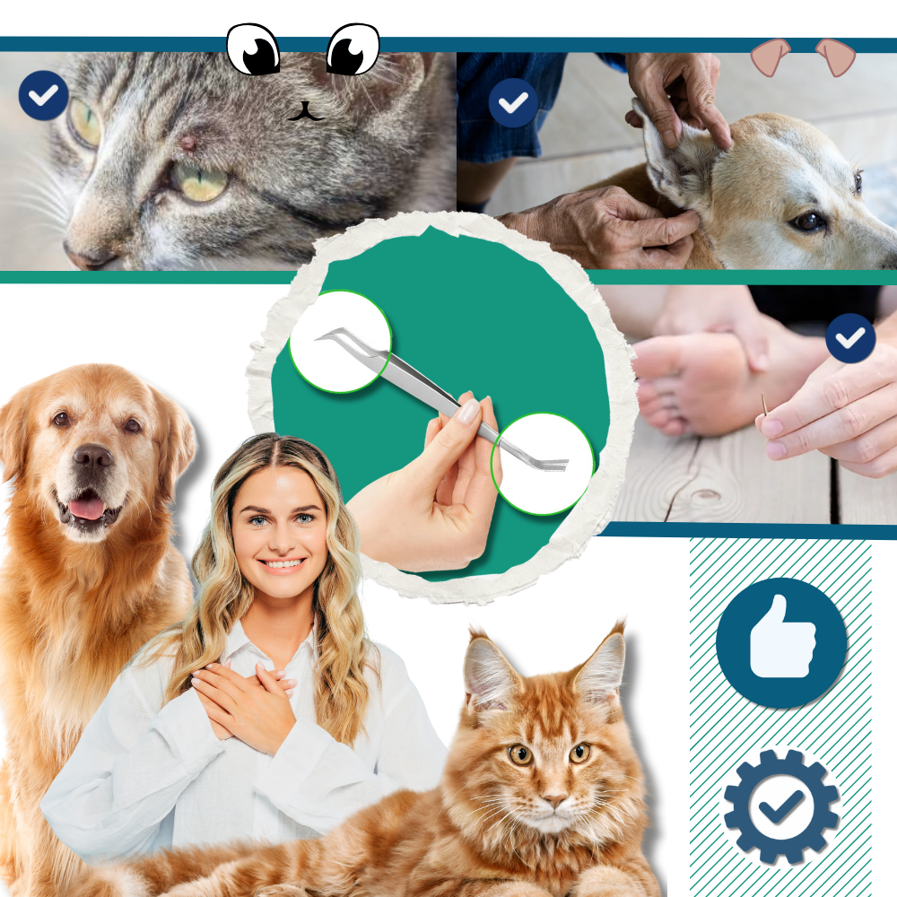 Precision Tick Extractor - Ozerty