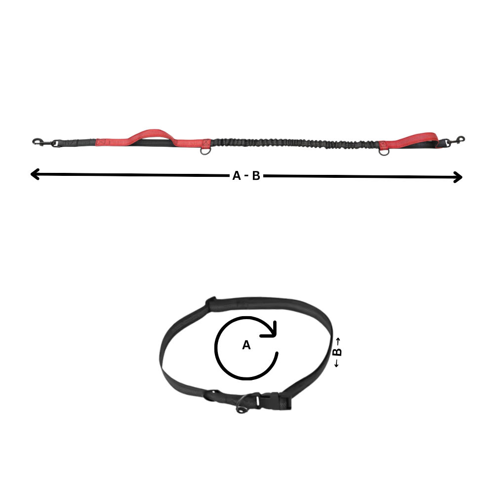 Secure & Ergonomic Dog Waist Leash - Ozerty