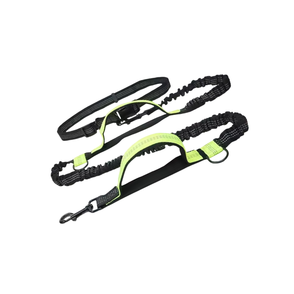 Secure & Ergonomic Dog Waist Leash -Green - Ozerty