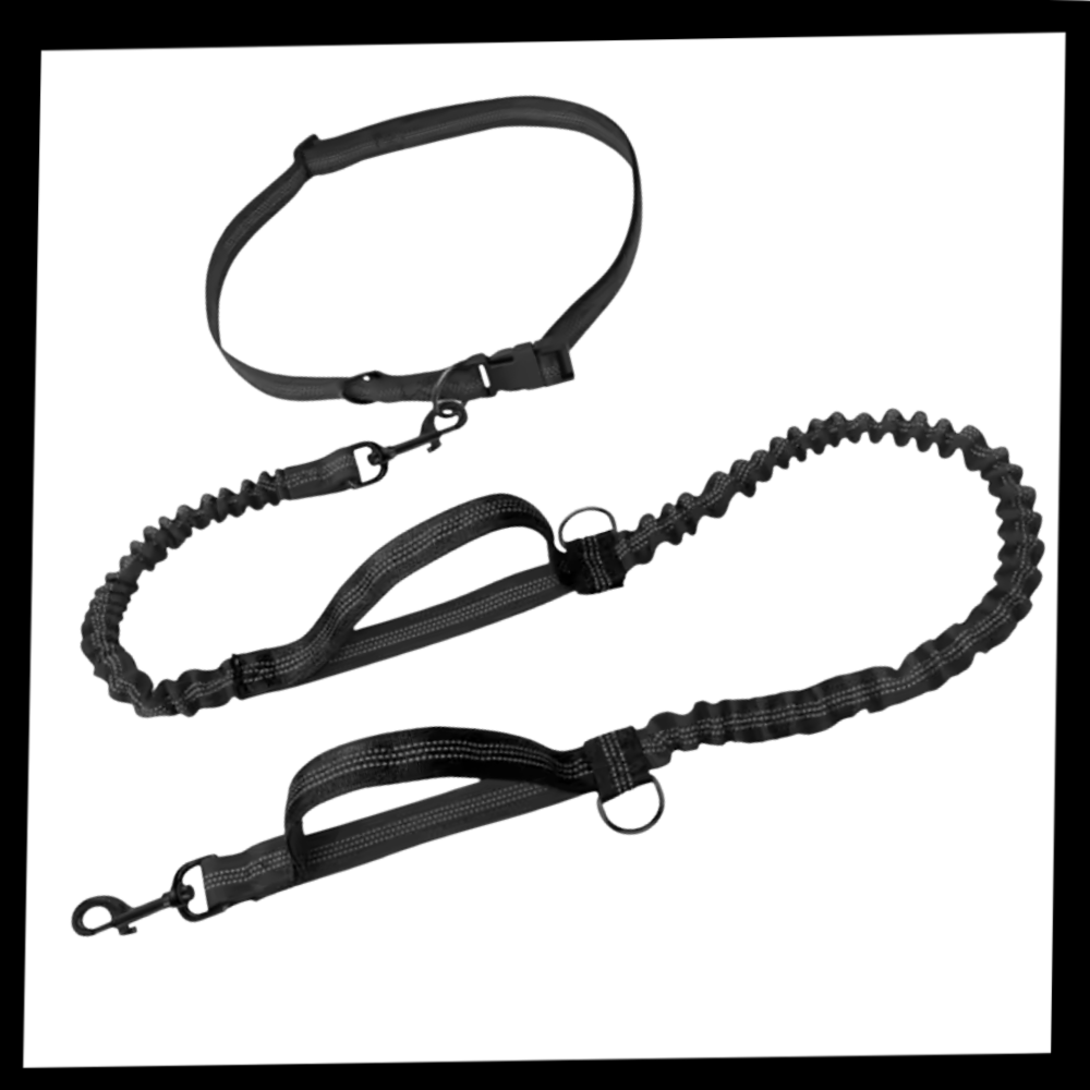 Secure & Ergonomic Dog Waist Leash - Ozerty
