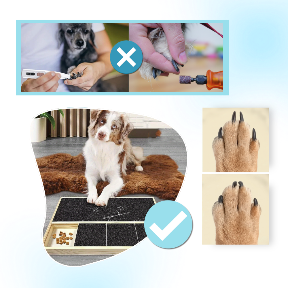 Stress Free Treats Dog Nail Scratch Board - Ozerty