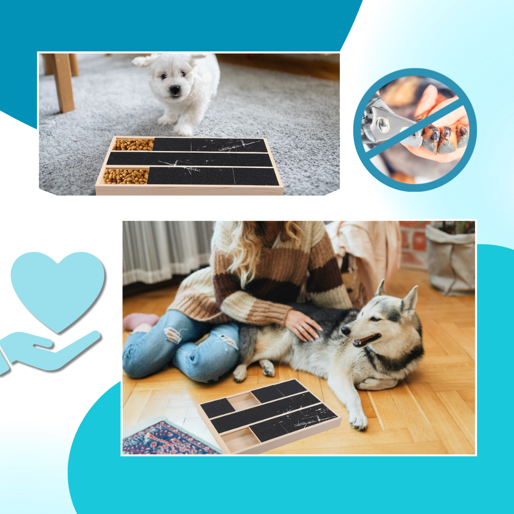 Stress Free Treats Dog Nail Scratch Board - Ozerty