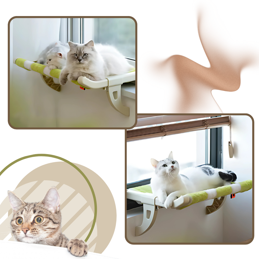 Tool-Free Cat Bed & Window Perch - Ozerty