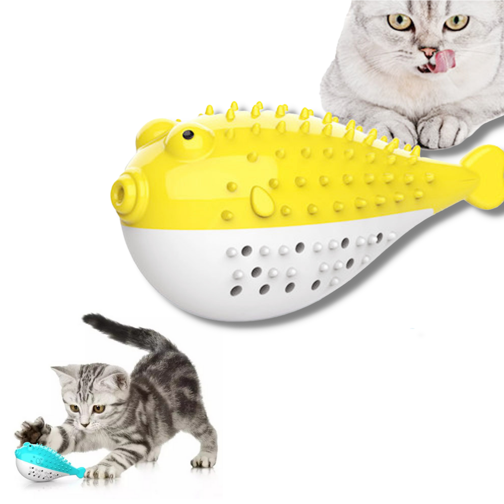 Fish shaped refillable cat toothbrush