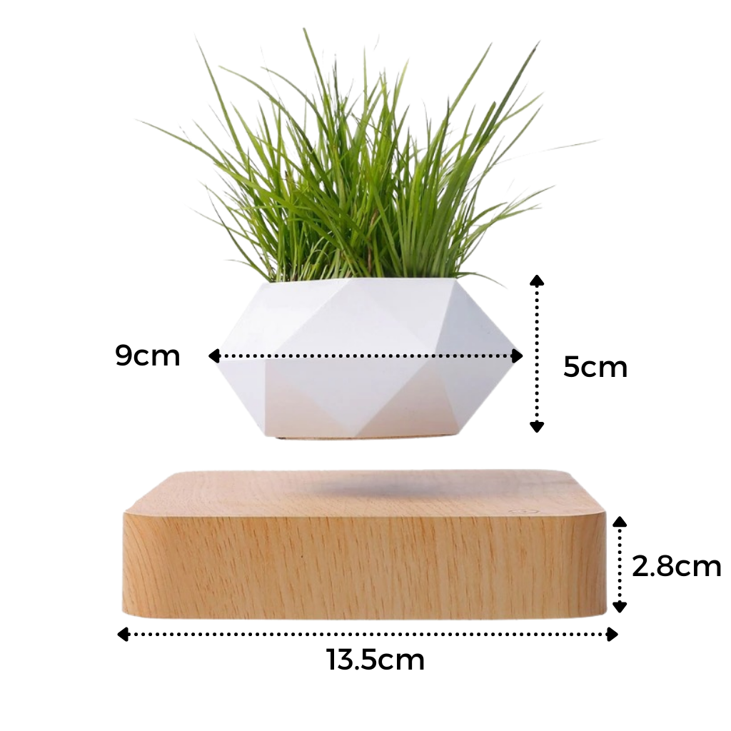 Levitating air pot plant
