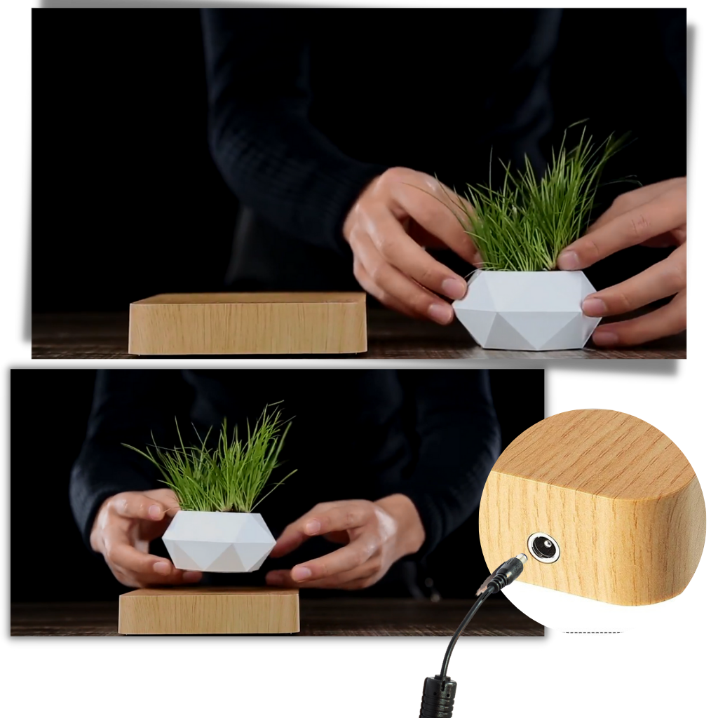 Levitating air pot plant