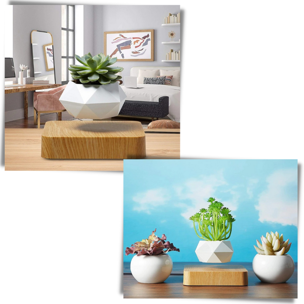Levitating air pot plant