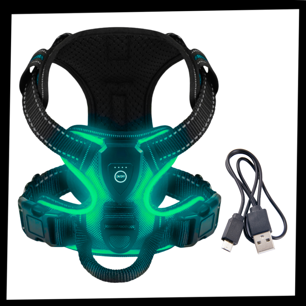 Blink LED Light Dog Harness - Ozerty