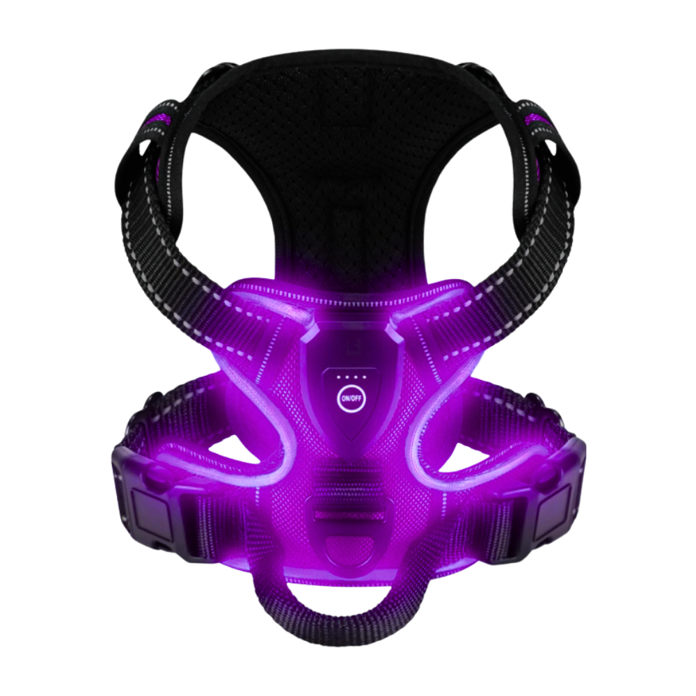 Blink LED Light Dog Harness -Purple - Ozerty