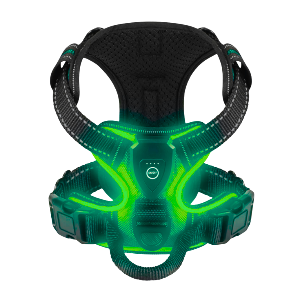 Blink LED Light Dog Harness