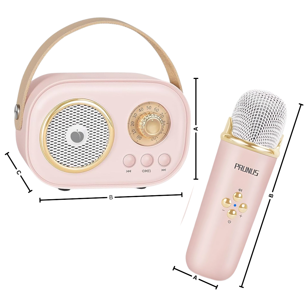 Bluetooth Dual Mic Kids Mini Karaoke - Ozerty