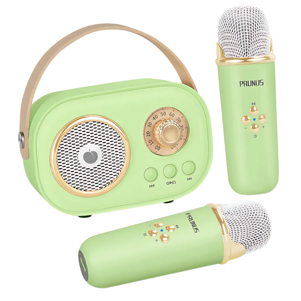 Bluetooth Dual Mic Kids Mini Karaoke -Green - Ozerty