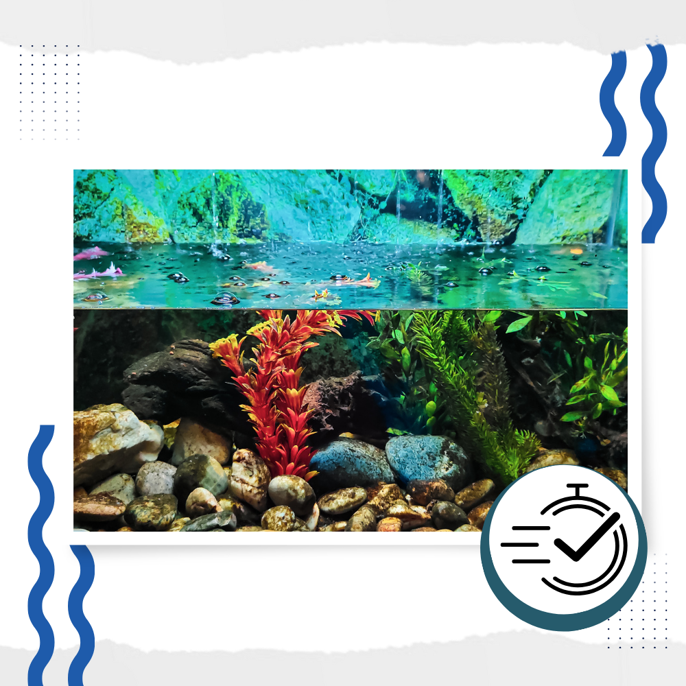 Preventive Aquarium Algaecide - Ozerty