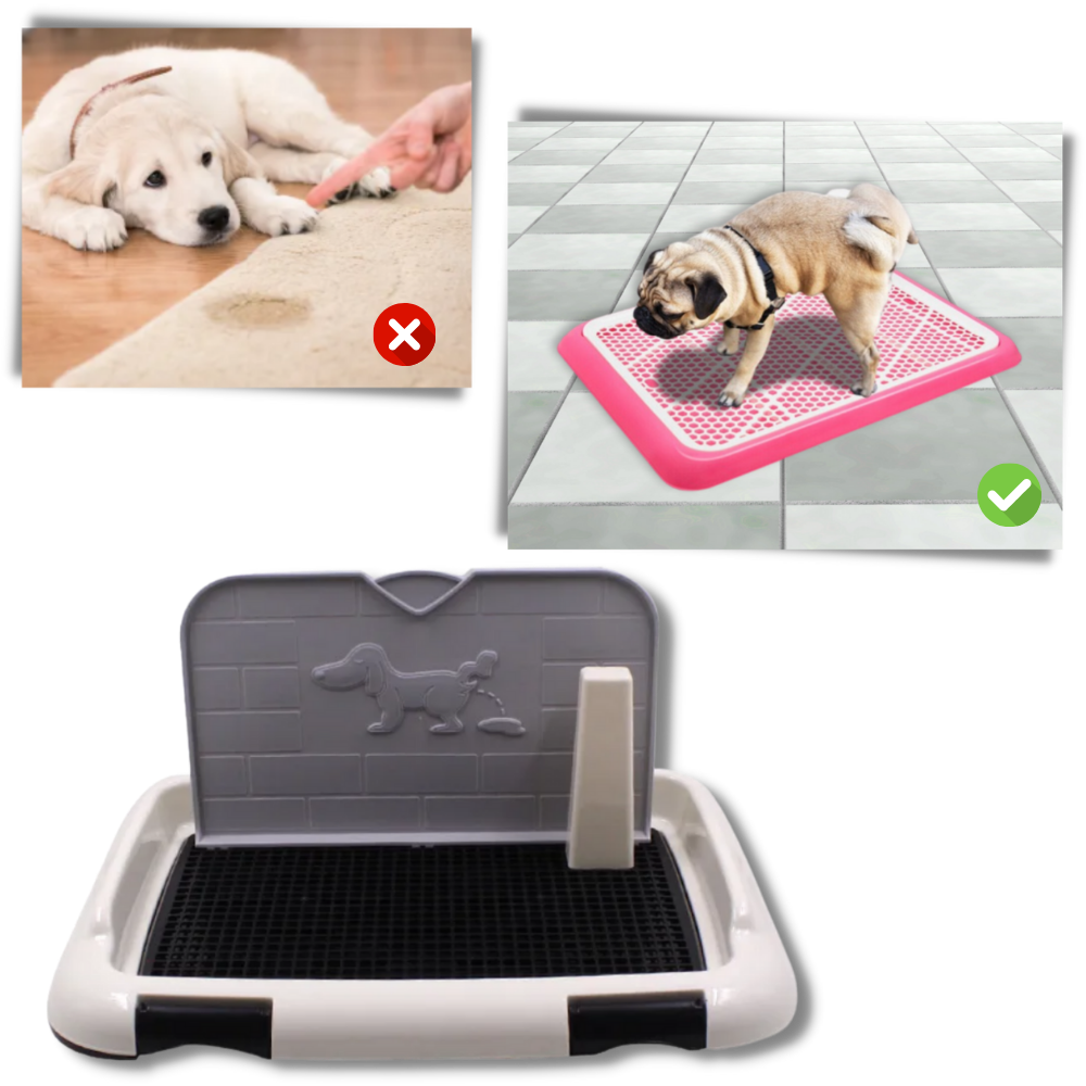 Splash-proof Dog Pee Pads - Ozerty