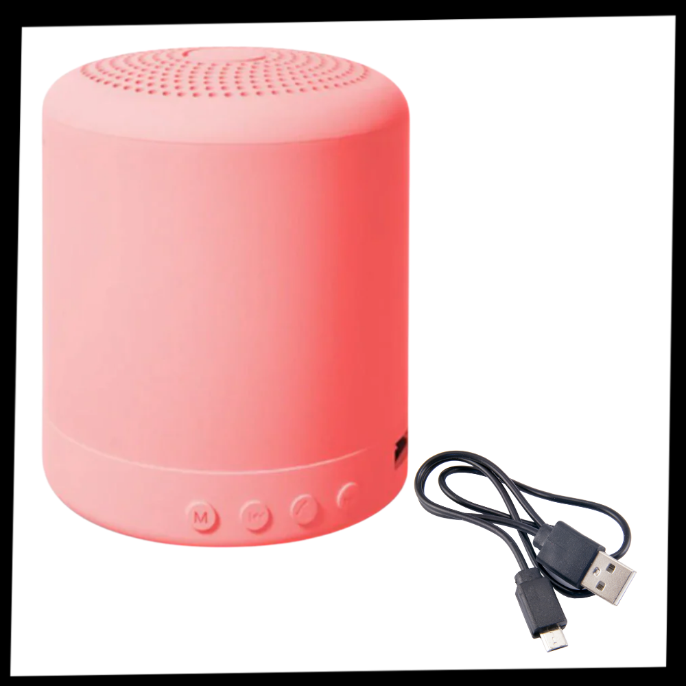 Mini Bluetooth Speaker