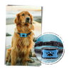 Anti bark dog collar