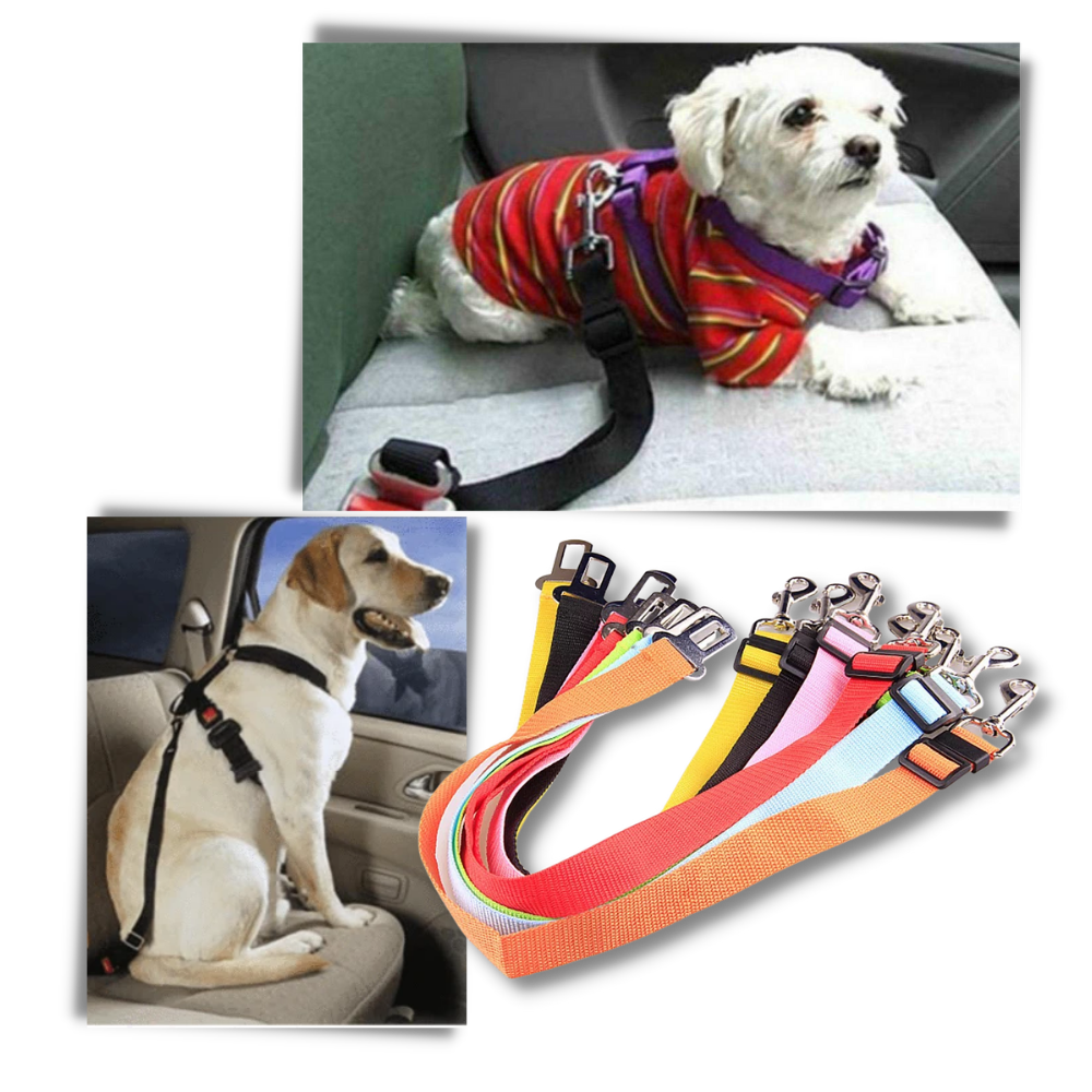 Adjustable and Durable Dog Safety Belt For Cars