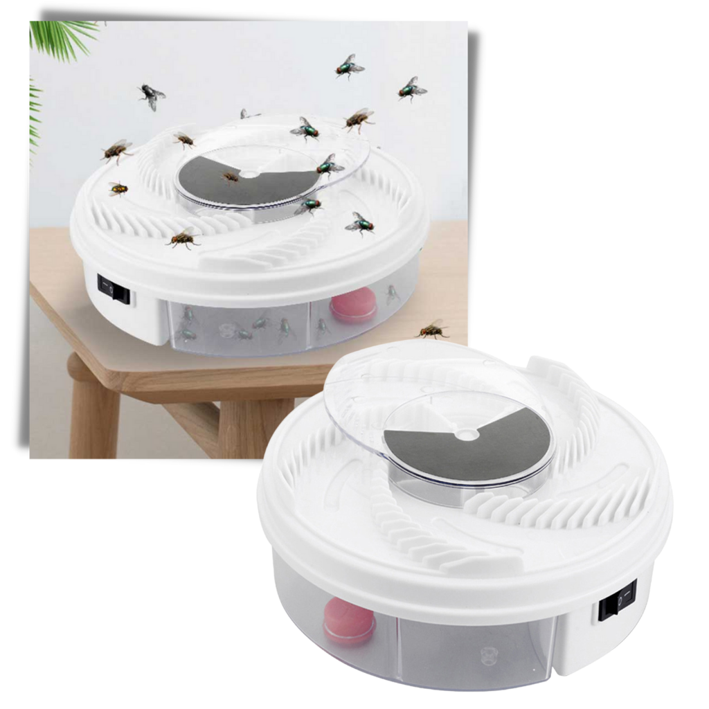 Electric fruit fly and house fly trap