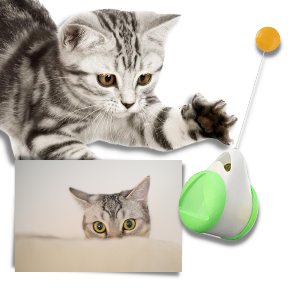 Interactive ball toy for cats