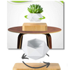 Levitating air pot plant