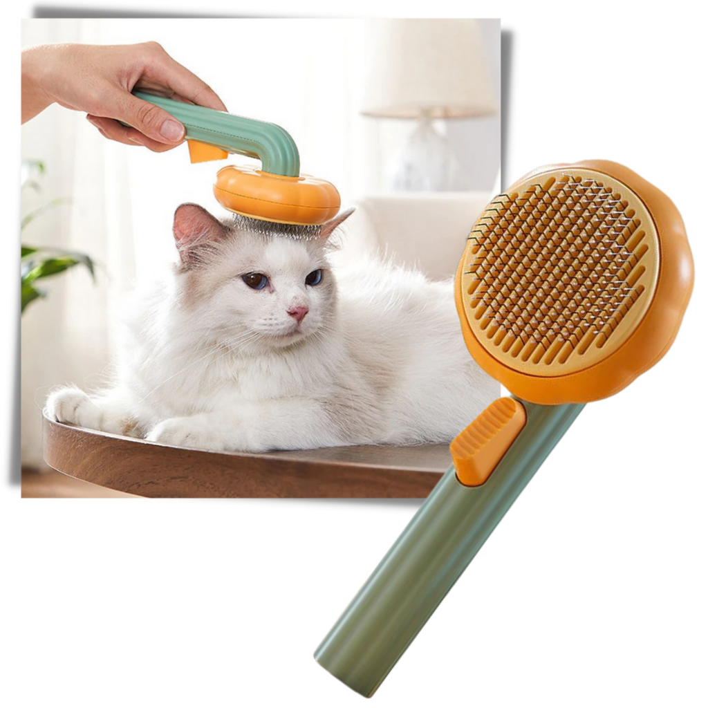 Self-cleaning pumpkin pet brush