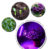 USB plant growth LED lamp