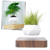 Levitating air pot plant - Ozerty